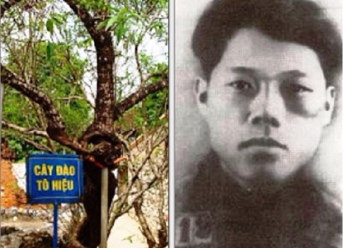 Kỷ niệm 110 năm Ngày sinh đồng chí Tô Hiệu, lãnh đạo tiền bối tiêu biểu của Đảng và cách mạng Việt Nam (1912 - 2022)